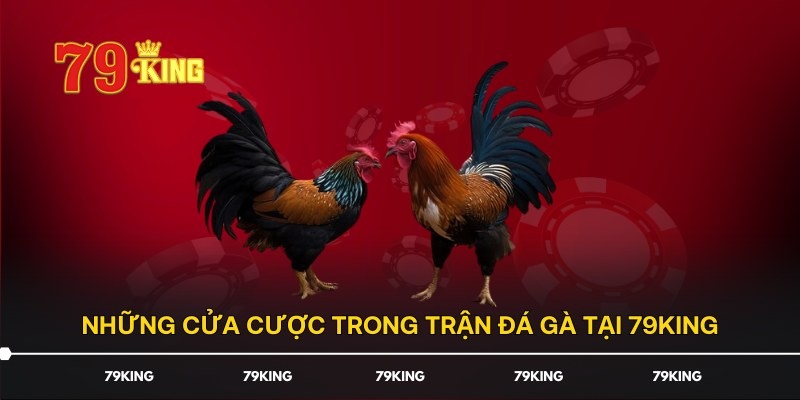 Những cửa cược thú vị tại 79king giúp bạn tăng trải nghiệm